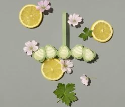 Marcel's Green Soap Toiletblok Geranium & Citroen - 55 Gram -Schoonmaakproducten Winkel 1200x1023