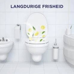 Glorix Power 5 Toiletblokken - Citroen - 9 Stuks - Voordeelverpakking 18 Glorix Power 5 Toiletblokken - Citroen - 9 Stuks - Voordeelverpakking -Schoonmaakproducten Winkel 1200x1200 741