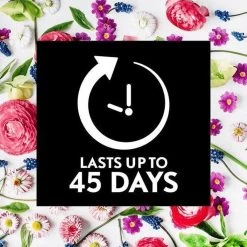 Air Wick Essential Mist Automatische Geurverspreider Luchtverfrisser - Innerlijke Rust - Navulling -Schoonmaakproducten Winkel 1200x1200 799