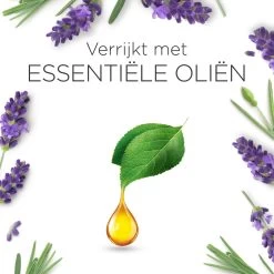 Air Wick Essential Mist Luchtverfrisser - Ontspannende Lavendel - 1 Zwart Apparaat + 2 Navullingen 16 Air Wick Essential Mist Luchtverfrisser - Ontspannende Lavendel - 1 Zwart Apparaat + 2 Navullingen -Schoonmaakproducten Winkel 1200x1200 825