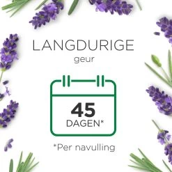 Air Wick Essential Mist Automatische Luchtverfrisser - Ontspannende Lavendel - 3 Navullingen 11 Air Wick Essential Mist Automatische Luchtverfrisser - Ontspannende Lavendel - 3 Navullingen -Schoonmaakproducten Winkel 1200x1200 837