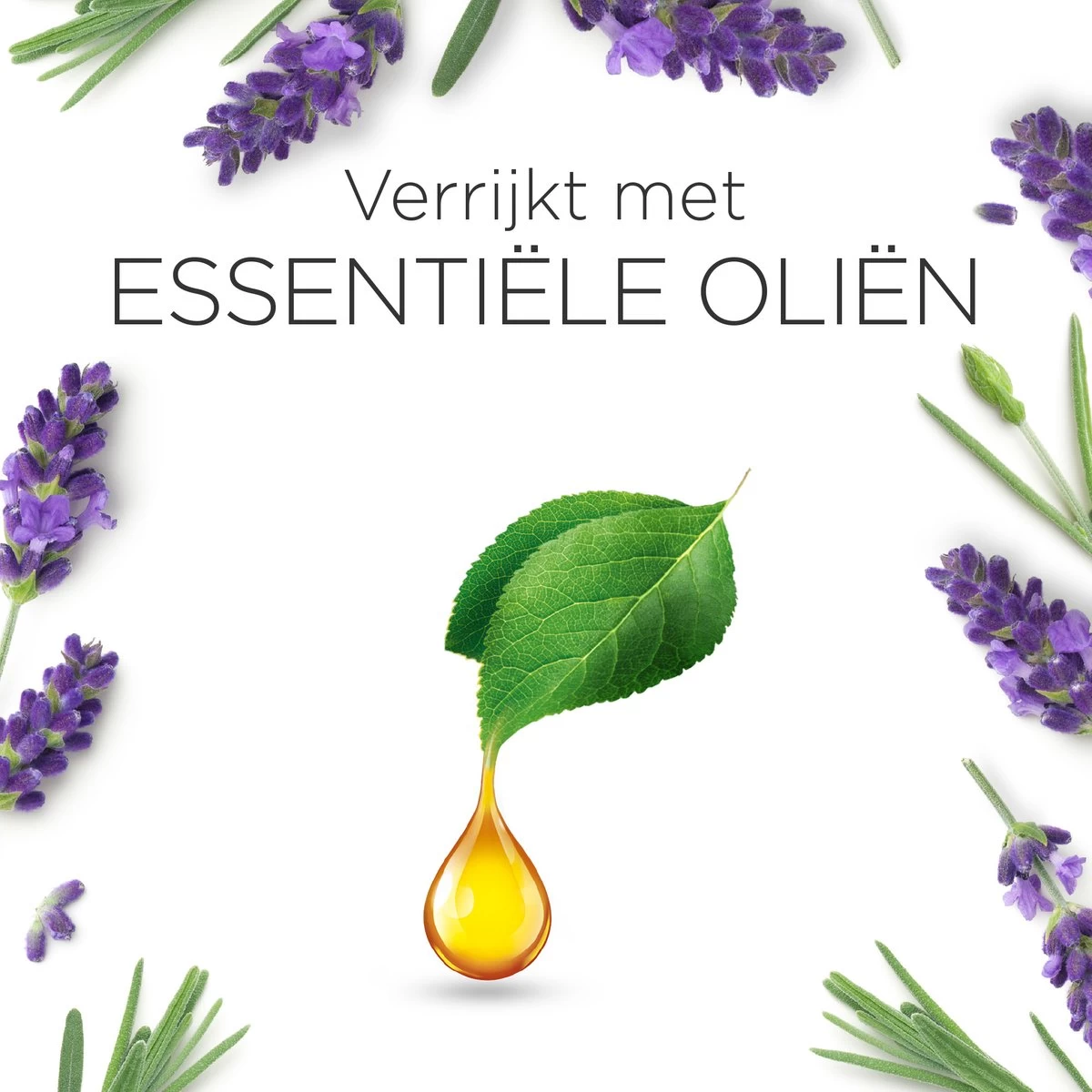 Air Wick Essential Mist Automatische Luchtverfrisser - Ontspannende Lavendel - 3 Navullingen 9 Air Wick Essential Mist Automatische Luchtverfrisser - Ontspannende Lavendel - 3 Navullingen - Afbeelding 7