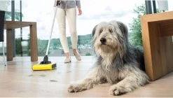 Kärcher KB 5 Rolveger - Vloerreiniger - 3,7V - Incl. Accu En Lader -Schoonmaakproducten Winkel 1200x679