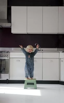 PUHLMANN - Inklapbare Kruk, JAMES, Plastic, Groen, 22 Cm Hoog, Max 100kilo 12 PUHLMANN - Inklapbare Kruk, JAMES, Plastic, Groen, 22 Cm Hoog, Max 100kilo -Schoonmaakproducten Winkel 755x1200 1