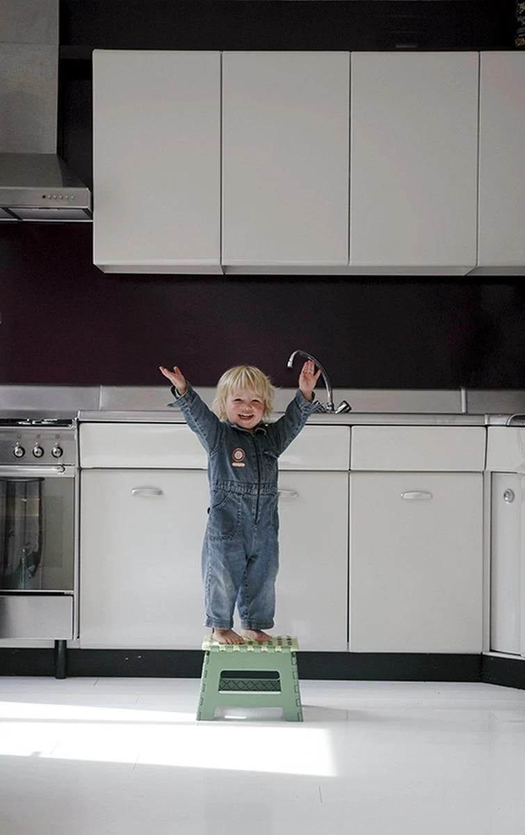 PUHLMANN - Inklapbare Kruk, JAMES, Plastic, Groen, 22 Cm Hoog, Max 100kilo 6 PUHLMANN - Inklapbare Kruk, JAMES, Plastic, Groen, 22 Cm Hoog, Max 100kilo - Afbeelding 4